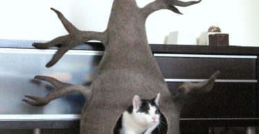 Wool Cat Tree