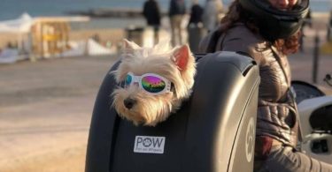 POW Pet On Wheels Pet Carrier