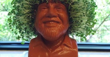 Bob Ross Chia Head – Hair Growing Planter