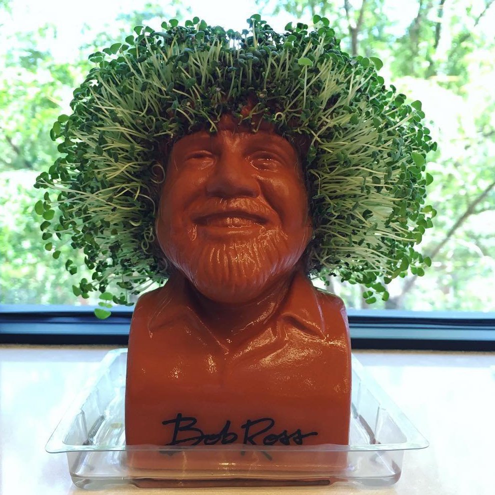 Bob Ross Chia Head – Hair Growing Planter