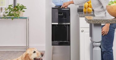 Primo Water Dispenser with Pet Station