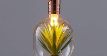 Glass Decorative Planting LED Light Bulb