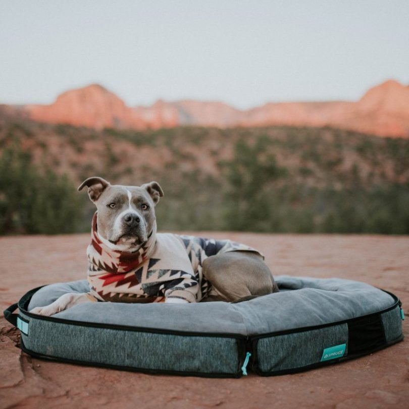 Spruce Travel Dog Bed