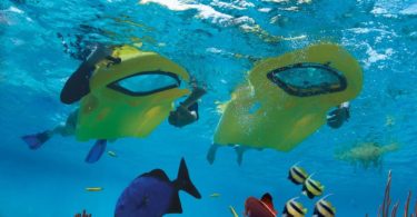 Zayak Underwater Sea Sled