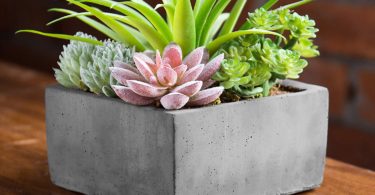 MyGift Faux Potted Assorted Succulents Plants in Grey Planter