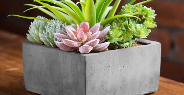 MyGift Faux Potted Assorted Succulents Plants in Grey Planter
