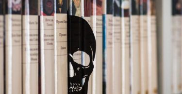 Skull Book Divider