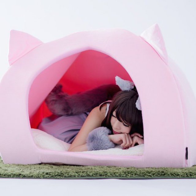 Human Pet House