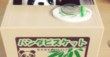 Panda Thief Coin Bank