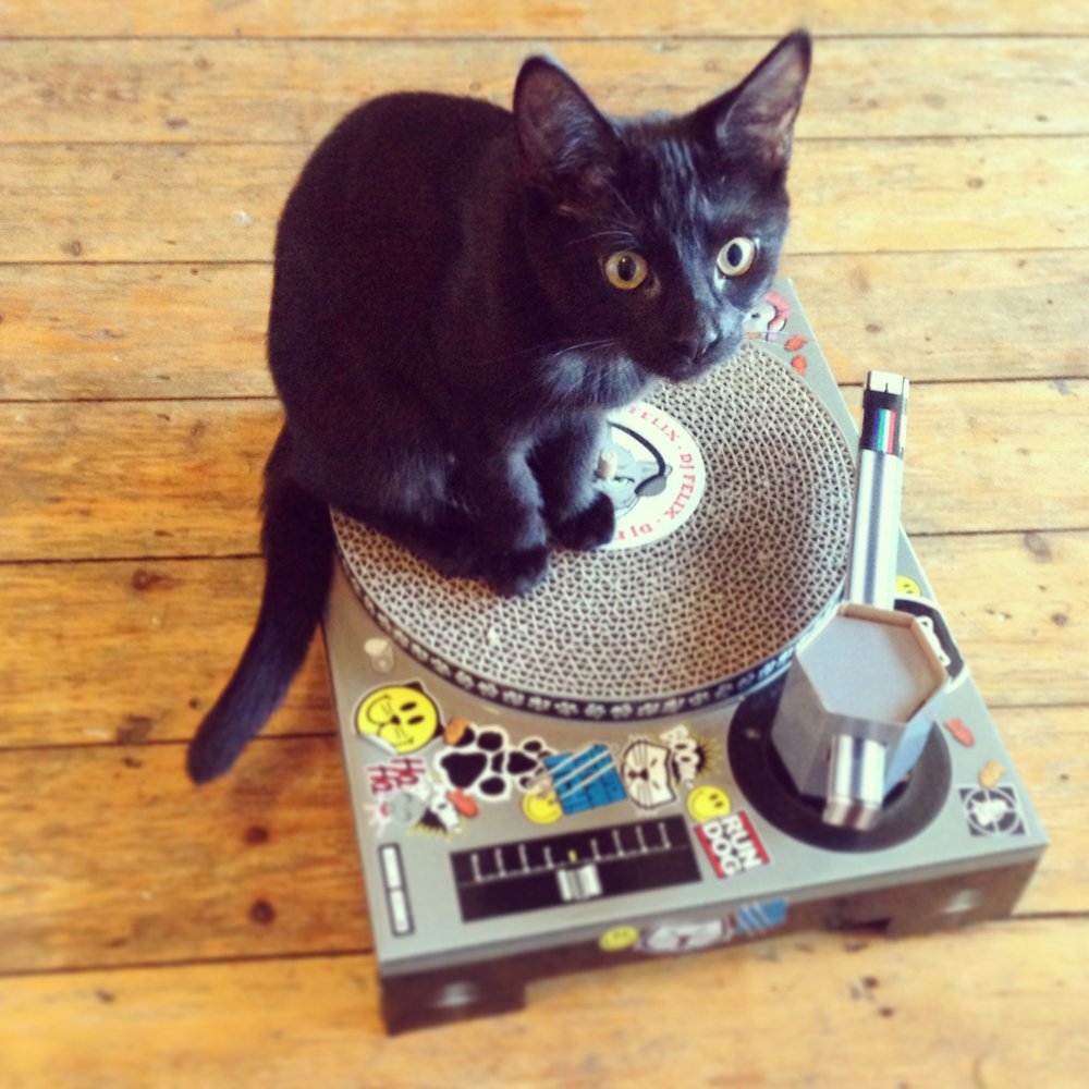 Cat Scratch Turntable