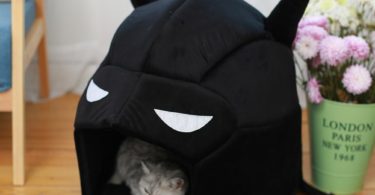 Batman Pet Cat House