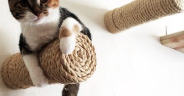 Floating Sisal Cat Post Step by CatastrophiCreations