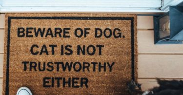 Beware of Dog. Cat is Not Trustworthy Either Doormat