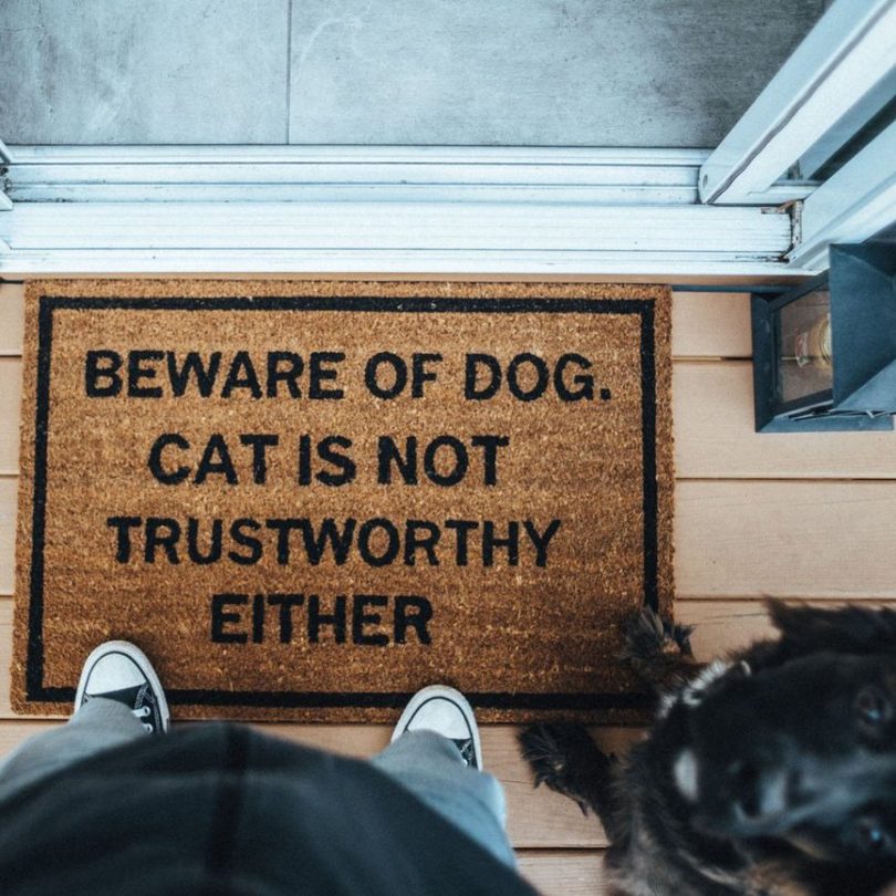 Beware of Dog. Cat is Not Trustworthy Either Doormat