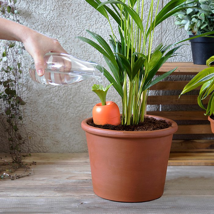 Care-it Self-Watering Device