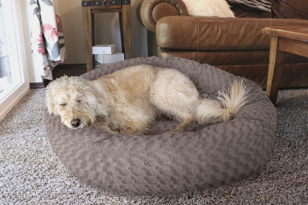 FurHaven Plush Donut Pet Bed