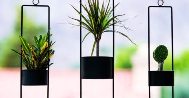 Matte Black Small Upright Hanging Planter