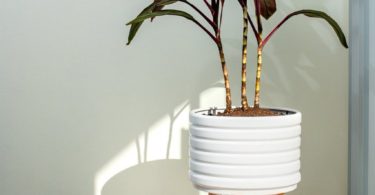 Groove Ceramic Planter