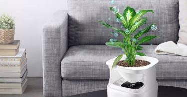 Air Purifier & Plant Stand