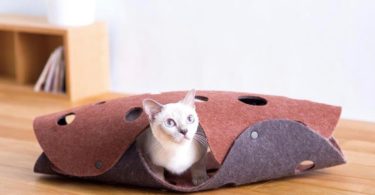 Oppo Fab Cat Tunnel