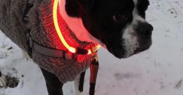 NiteHowl Rechargeable LED Safety Necklace