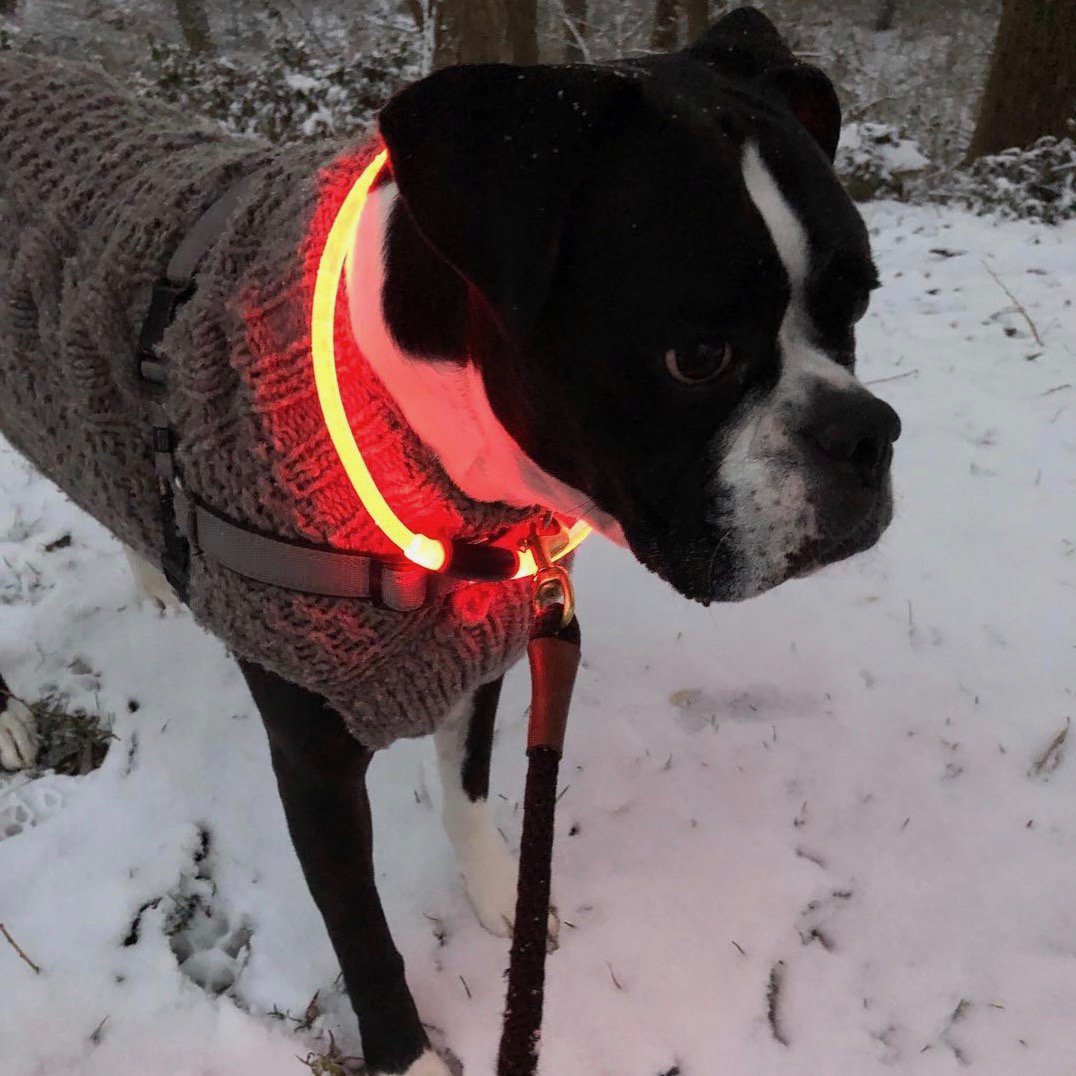 NiteHowl Rechargeable LED Safety Necklace