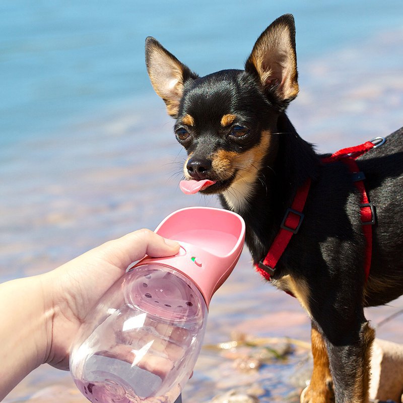Premium Portable Pet Water Bottle