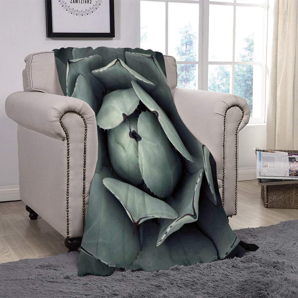 SCOCICI Super Soft Throw Blanket/Cactus Decor