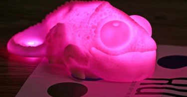 Color Copying Chameleon Lamp