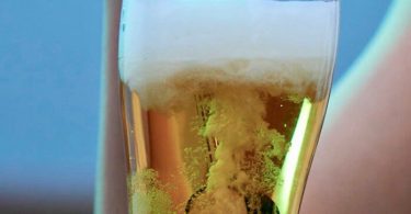 Ultrasonic Beer Foamer Stick