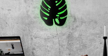 Monstera LED Wall Light