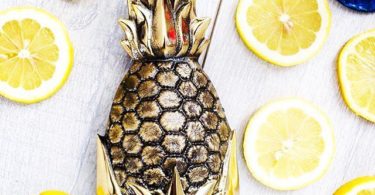 Pineapple Door Knocker