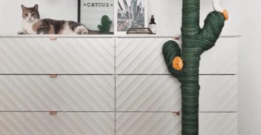 Cactus Cat Scratching Post