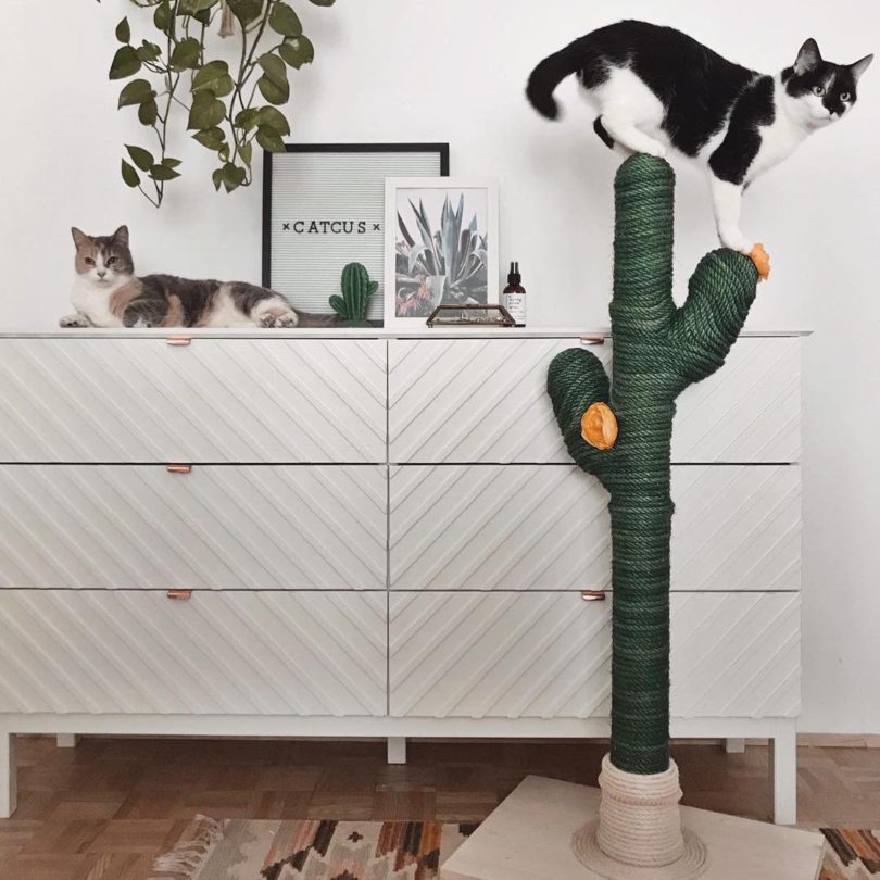 cactus cat scratch post
