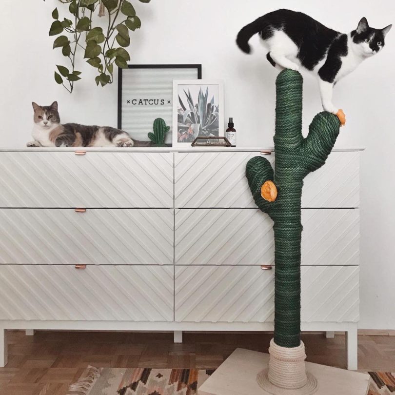 Cactus Cat Scratching Post