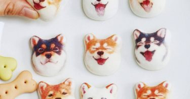 Shiba Inu Dog Marshmallows