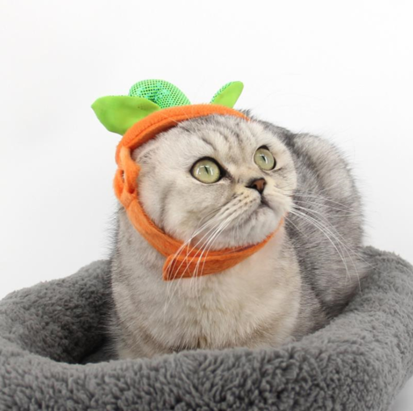 Pumpkin Hat