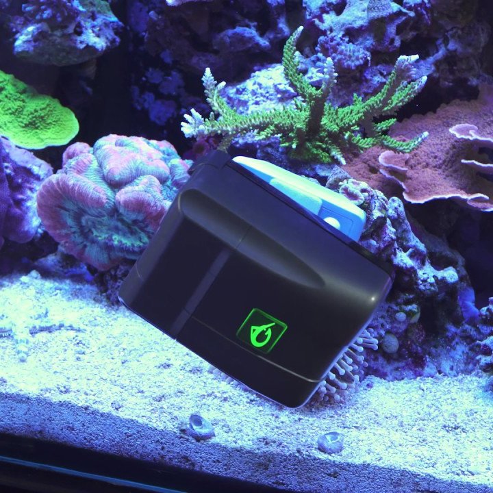 Robosnail Aquarium Cleaner