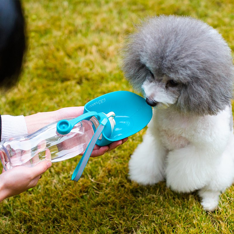 Pet Water Bottle