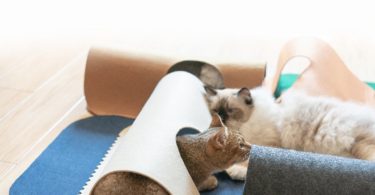 Tunnel Playground For Cats