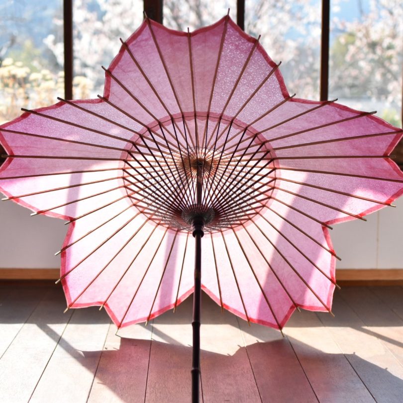 Sakura Wagasa Cherry Blossom Japanese Parasol