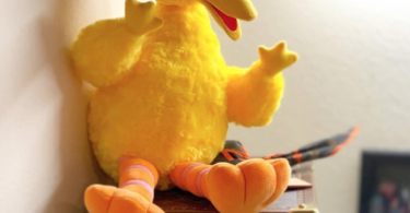 KAWS x Sesame Street Big Bird Plush Toy