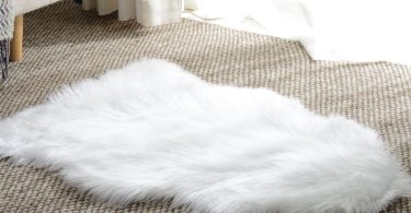 Basic Beyond Fur Area Rug