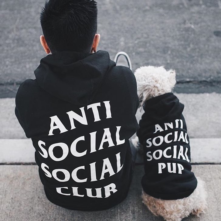 Anti Social Social Pup Hoodie