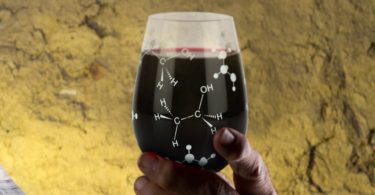 Chemist Approved Stemless Wine Glass