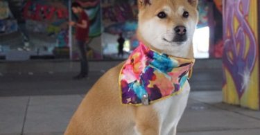 Yellow Abstract Satin Bandana