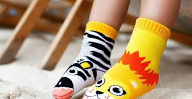 Lion & Zebra Mismatched Socks