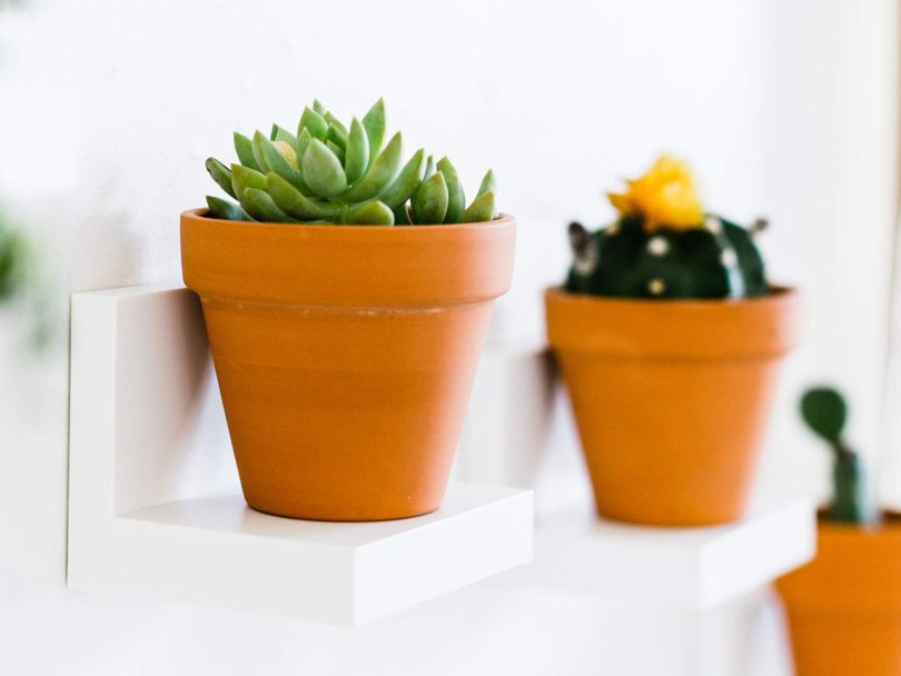 Command Display Floating Wall Shelves