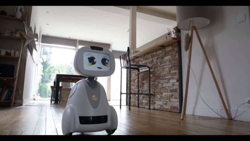 BUDDY – Your Family’s Companion Robot