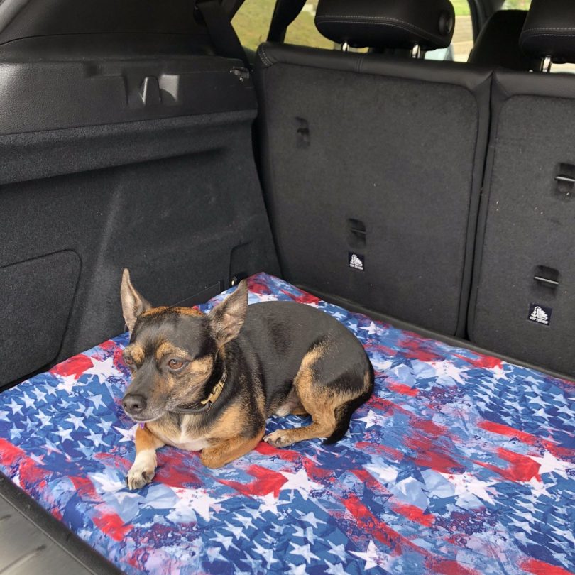 Orthopedic Car / Kennel Mat – Water Resistant / Washable